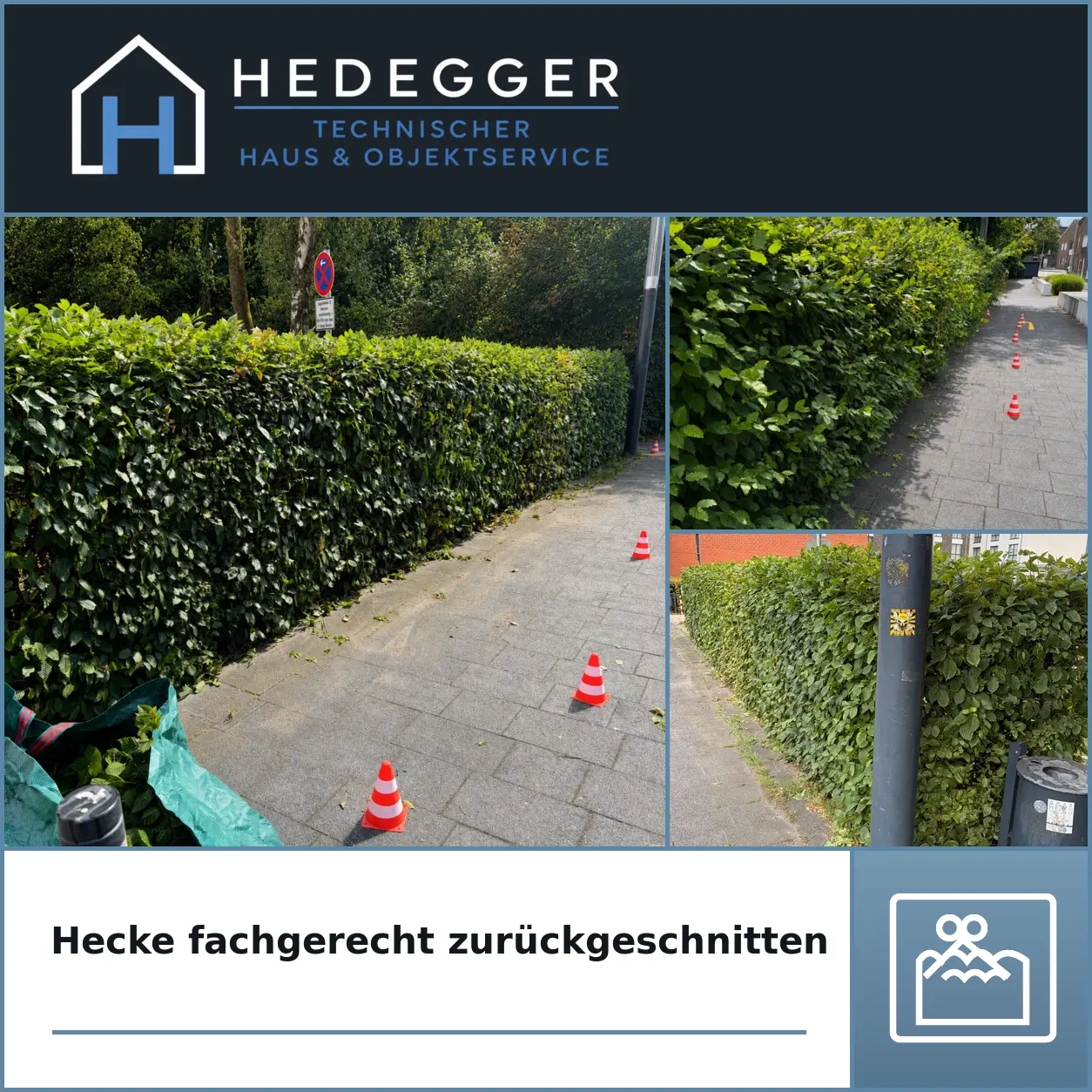 Hecke fachgerecht zurückgeschnitten